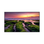 Samsung 65" 4K UHD Smart Signage QBB Series | LH65QBBEBGCXUE