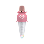 Green Lion Kids Karaoke Mic - Pink | GNKIDKARMICPK
