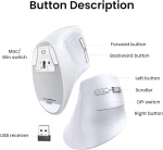 UGREEN MU008 Vertical Mouse Bluetooth & Wireless Silent 4000 DPI | 45759