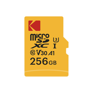 KODAK 256GB SDHC Ultra MicroSD Memory Card | EKMSDM256GXC10HPRK