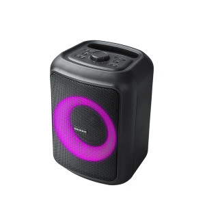 Grundig Party Speaker, Up to 12 Hours Playtime, Power Bank Output | PARTYHIT