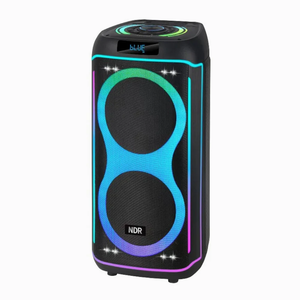 Portable Bluetooth Speaker 800W with RGB Lights - Wireless Party Speaker | NDR-610