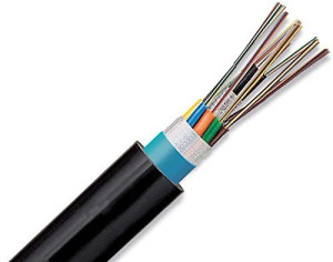 D-Link Fiber Optics Cable SM 6 cores 300 Meter | NCB-FS09x-UULS-06/3H