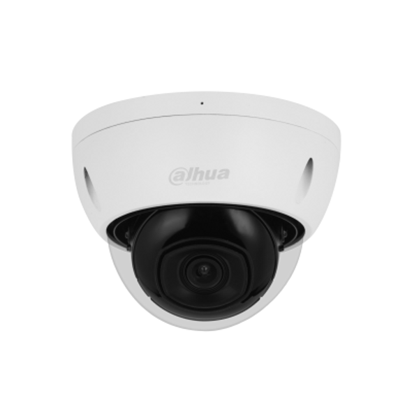 Dahua 5MP IR Fixed-focal Dome WizSense Network Camera|IPC-HDBW2541E-S