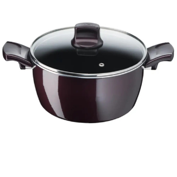 Tefal Resist Intense - Stewpot 26cm + Glass Lid | D5225282