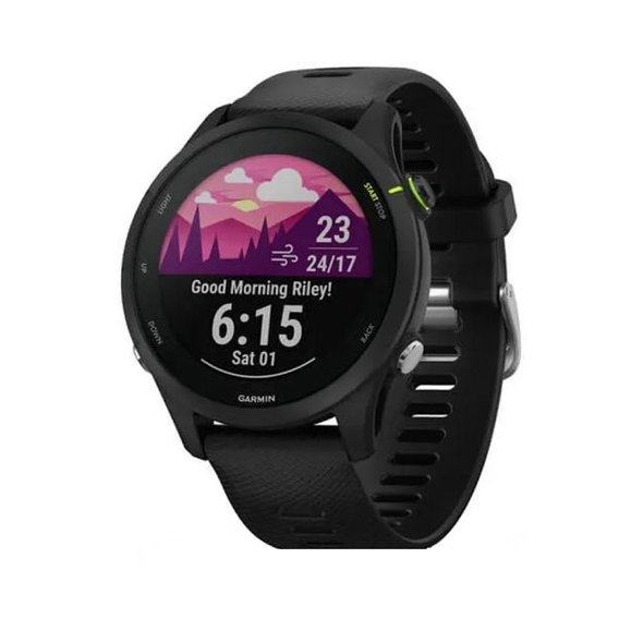 Garmin Forerunner 255 Music - 46mm - Slate Gray | 010-02641-30