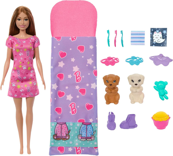 Barbie Doll and Play Set with 2 Toy Dogs | TE50622