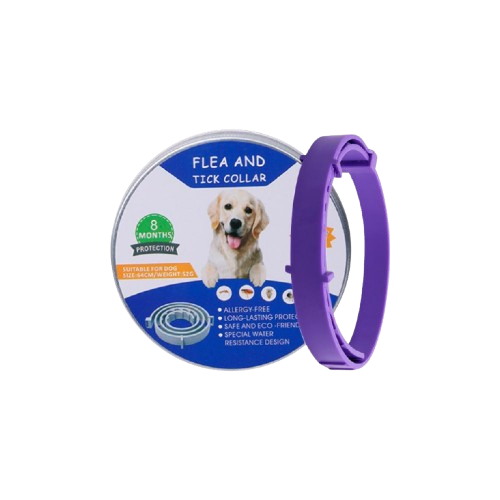 Anti-Fleas & Tick Collar - Large Size (Dogs) - Purple - 8 Months Protection | FTC-LG-PUR