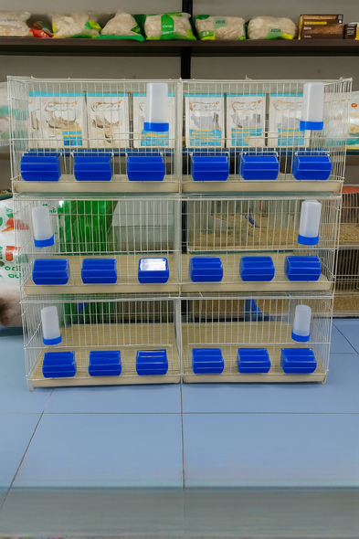 Bird Cage Separated with 6 DS Feeders & Water Dispensers - Blue