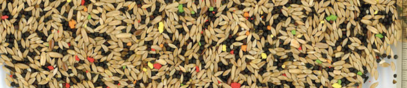 Manitoba Canarini T1 Biscuit Bird Food 20Kg | 6001