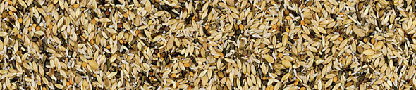 Manitoba Spinus & Spinus – Siskin Bird Food 15Kg | 26012