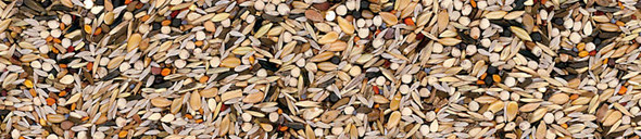 Manitoba Carduelidi Bird Food 800g | 26010/8