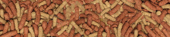 Manitoba My Parrots Unico Bird Food 2Kg | 6080/2