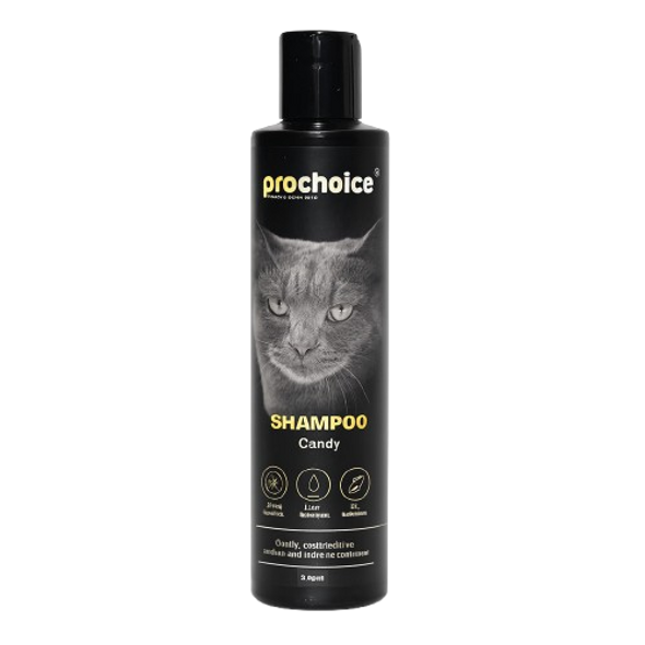 Prochoice Shampoo Candy Cat 250 Ml | 580432 Prochoice Shampoo Candy Cat 250 Ml | 580432