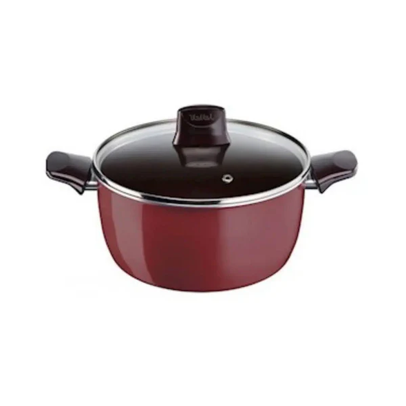 Tefal Stewpot Pleasure 24 cm | D505465 Tefal Stewpot Pleasure 24 cm | D505465