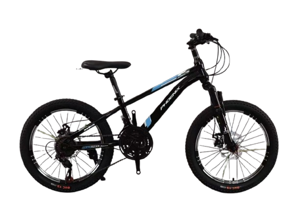 Phoenix Bicycle Front Suspension & Disc Brakes - 20 inch | WEF-20