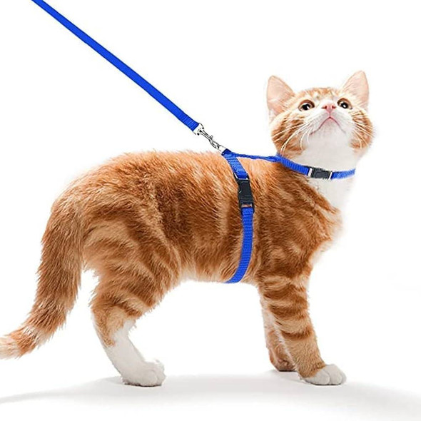 Göksum Petshop Cat Leash & Harness - Blue | PET-CL-BLU01