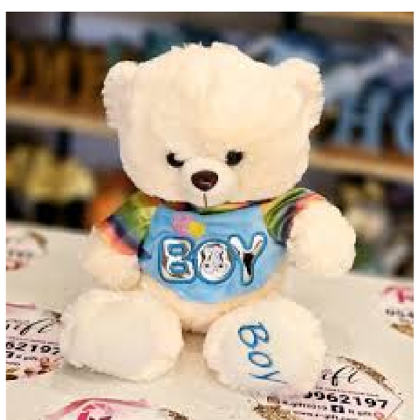 Teddy Bear Plush Toy “Boy” Blue Outfit – Cream | WOT-19008-38