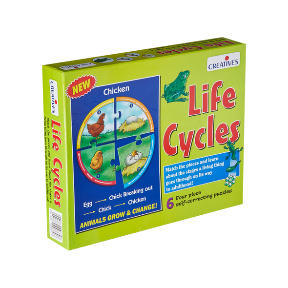 Creatives Life Cycles | 0993