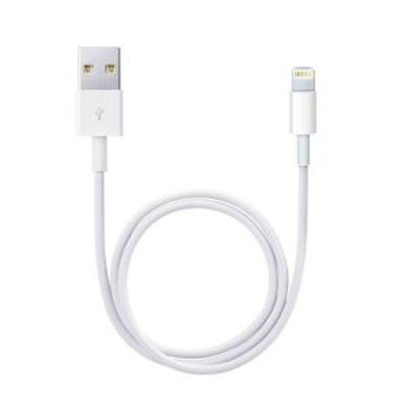 Apple Lightning to USB Cable | D818/MQUE2/MXLY2