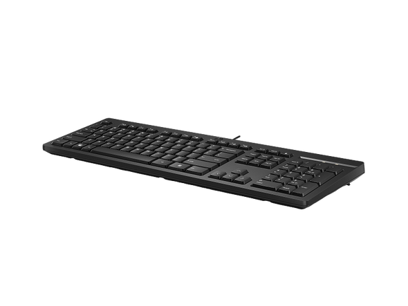 HP 125 Wired Keyboard | 266C9AA