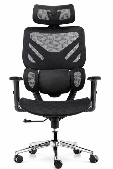Valencia Office Chair High-Back Ergonomic Mesh Chair with Adjustable Armrests | VL LY-8059H-BK