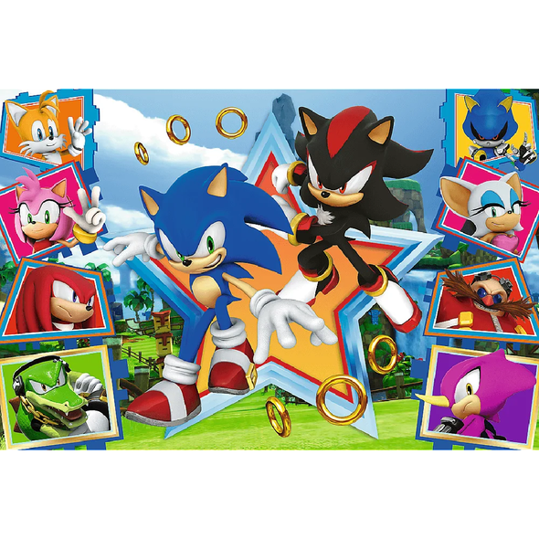 Trefl Meet Sonic the Hedgehog 16465 100-piece children’s jigsaw puzzle