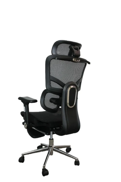 ERGOFLEX Ergonomic Chair Black ERFL-CH-BK