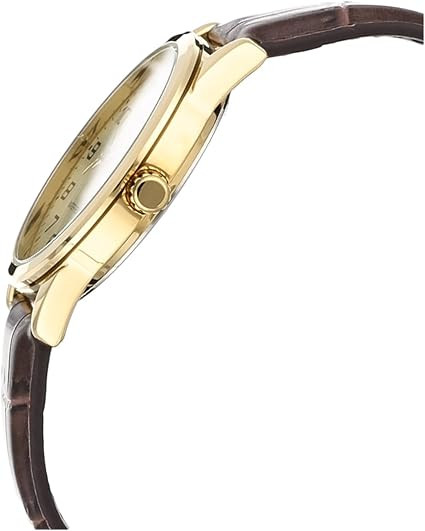 Casio Men 3-Hand Watch - Brown / Gold Plated | MTP-V001GL-1BUDF