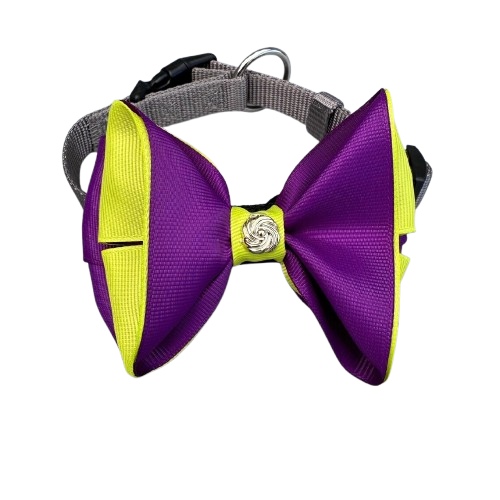 Pet Collar With Bow Purple, Yellow & Grey | PT-COL-PR