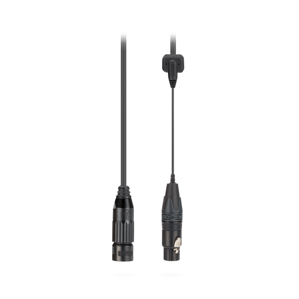 Rode PG2-R Pro Cable XLR Cable with Junction Box | PG2RCABLE