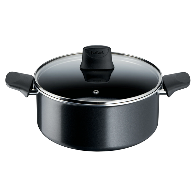 Tefal Generous Stewpot - 20Cm | C2784483