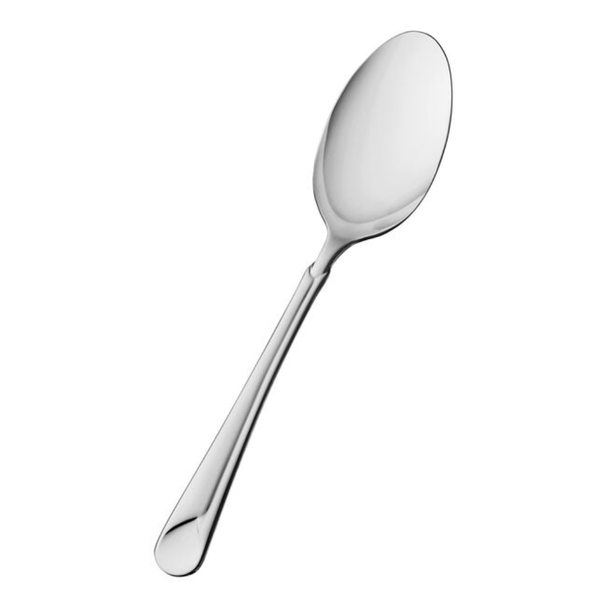 ZWILLING SERVING SPOON, LARGE | ZWI-37815-000-0