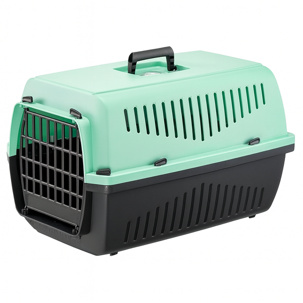 Cat Carrier Box - Medium Size - Light Aqua Green Cat Carrier Box - Medium Size - Light Aqua Green