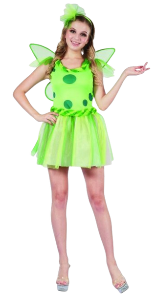 Green Fairy Costume (Dress, Headband & Wings) | 99587