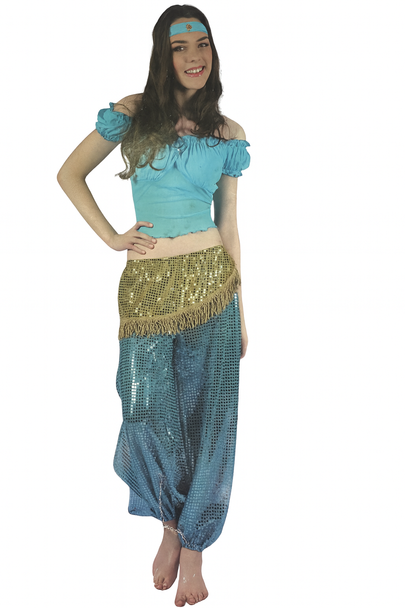 Harem Belly Dancer Costume (Shirt, Pants & Headband) | 99077