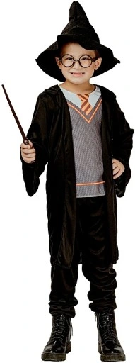 School Wizard Boys Costume (Shirt, Pants, Robe, Hat) - Large Size | 091838