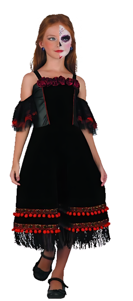 Day of the Dead Girl Costume - Large Size | 091147 Day of the Dead Girl Costume - Large Size | 091147