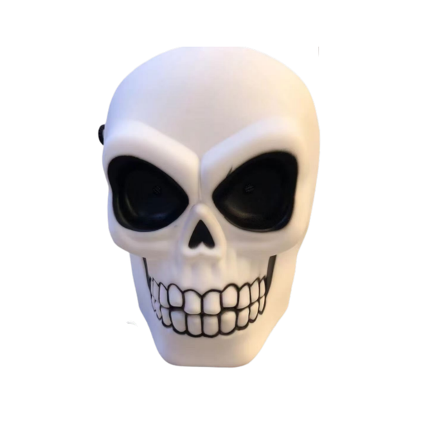 Halloween Light-Up Skull | AL2623
