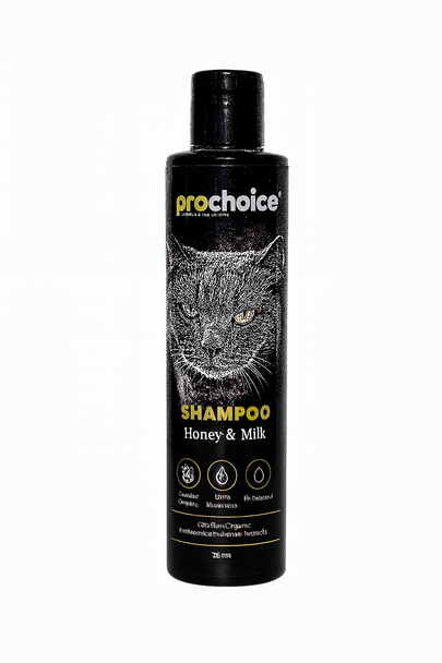 Prochoice Shampoo Honey & Milk Cat 250 Ml | 580425