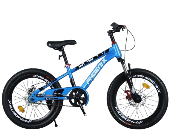 Phoenix Bicycle Front Suspension & Disc Brakes - 20 inch | ZF-20