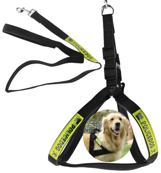 Dog Police Leash - Small Size, Black | PET-DPL-S-BLK01