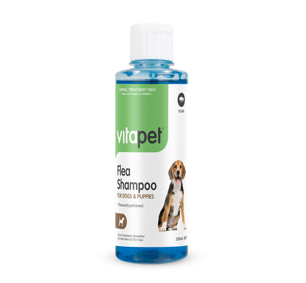 Tick & Flea Shampoo for Cats and Dogs - 250ML