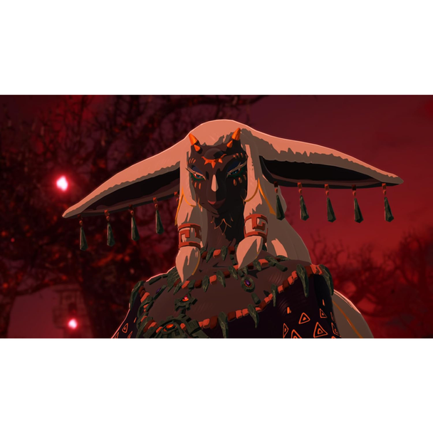 Hyrule Warriors: Age of Imprisonment - Nintendo Switch 2