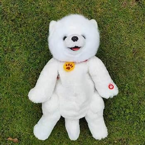White Bear Plush Toy – 30cm | ALBL337