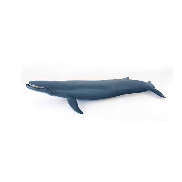 Ocean Animal Figure – Blue Whale | YX-H588-2