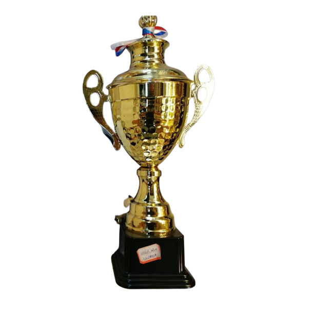 Gold Champion Trophy Cup | 410-4