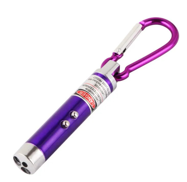2-in-1 Laser Pointer Pet Toy - Purple