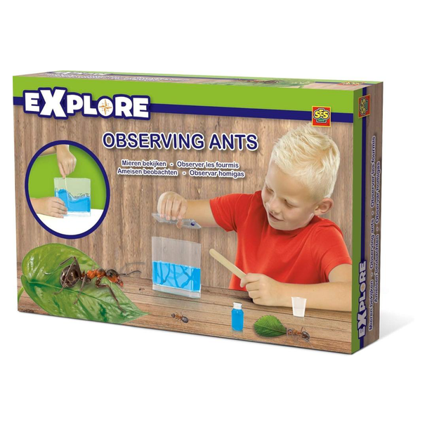 SES Creative Observing Ants Educational Toy 25084