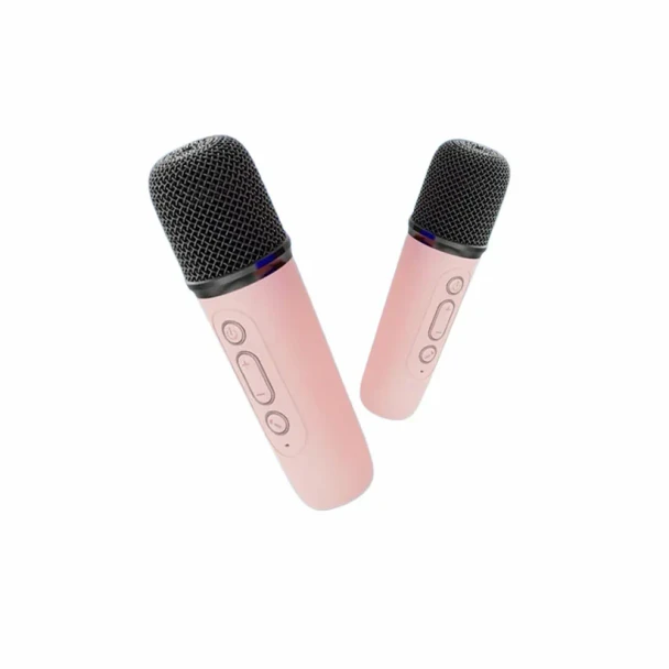 Heatz Bluetooth Speaker with 2 Wireless Microphones | HS1
